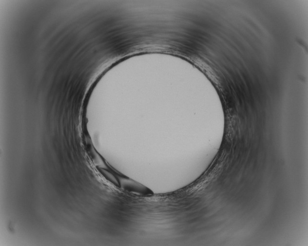 X0000097780904200804041211