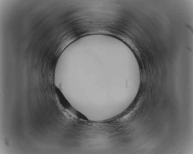 X0000097780905200804041211