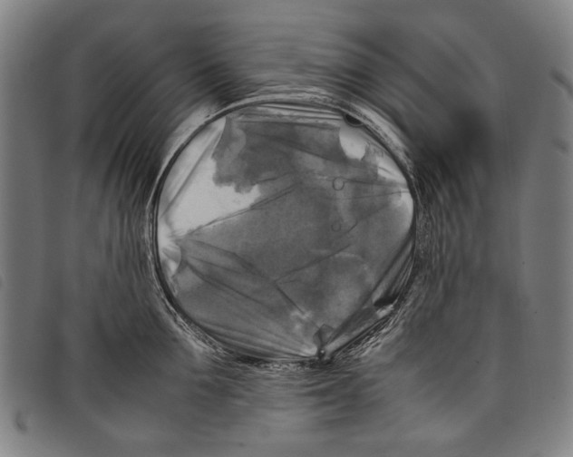 X0000097780907200804041211