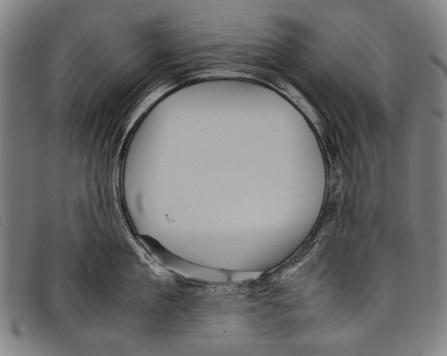 X0000097780909200804041211