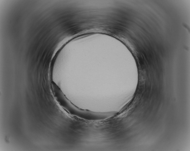 X0000097780910200804041211