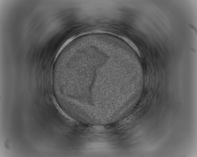 X0000097780911200804041211