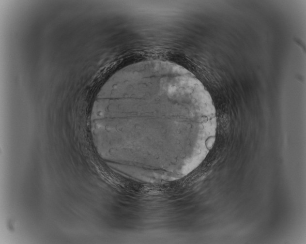 X0000097780913200804041210