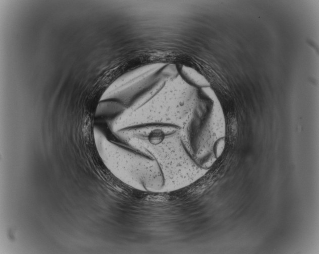 X0000097780914200804041210