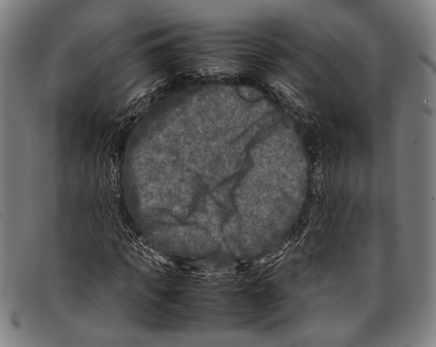 X0000097780917200804041210