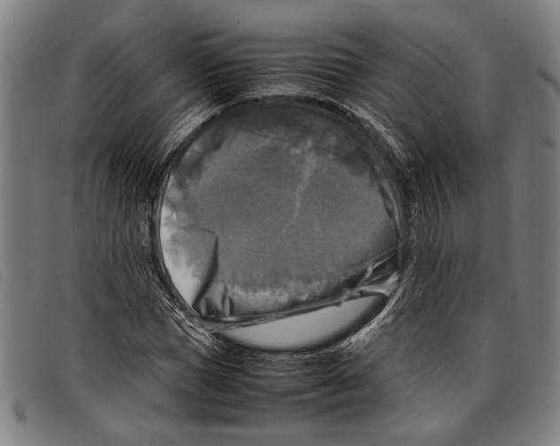 X0000097780921200804041211