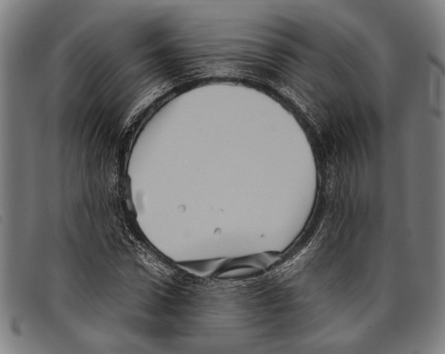 X0000097780922200804041211