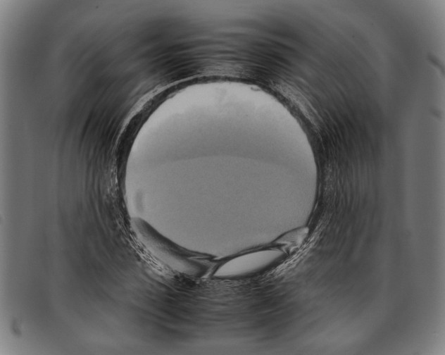 X0000097780923200804041211