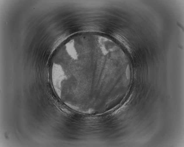 X0000097780925200804041211