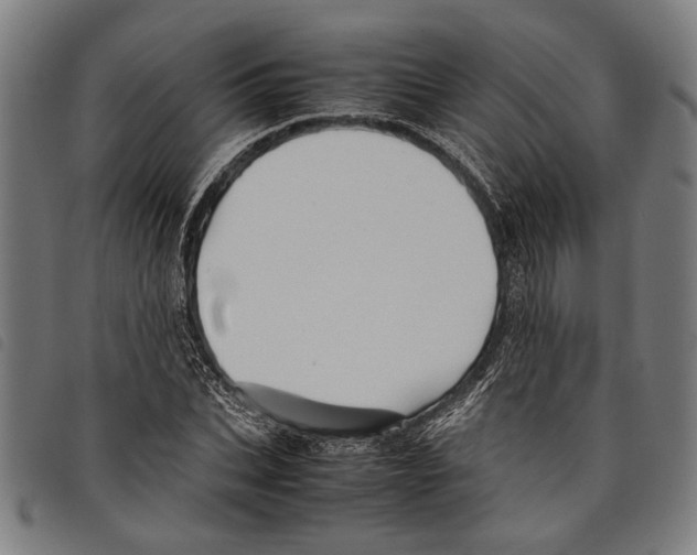 X0000097780927200804041211