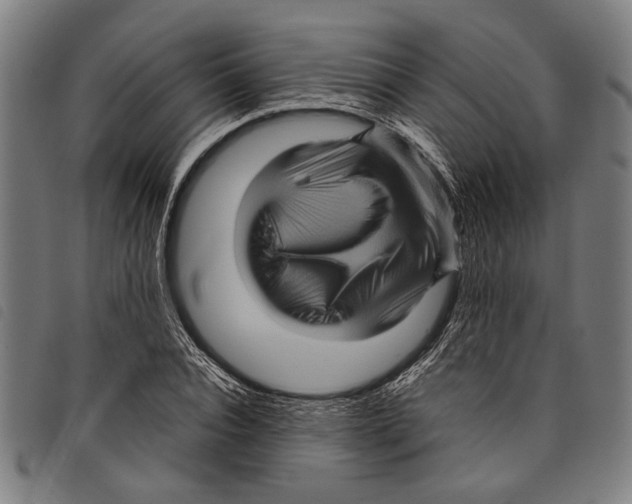 X0000097780928200804041211