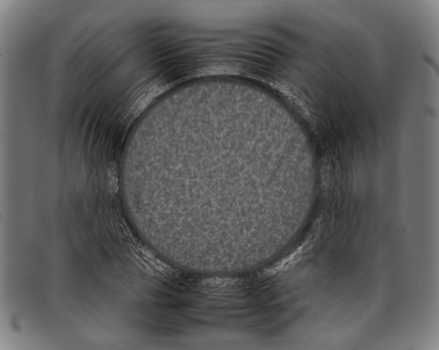 X0000097780929200804041211