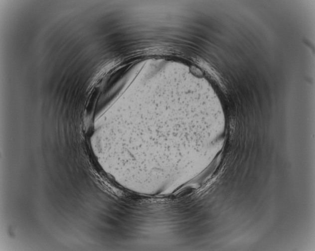 X0000097780930200804041211