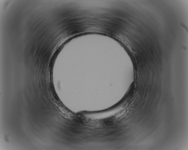 X0000097780931200804041211