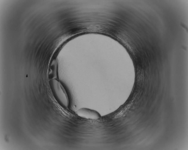 X0000097780932200804041211