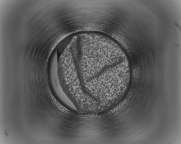 X0000097780934200804041211