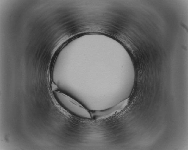 X0000097780936200804041211