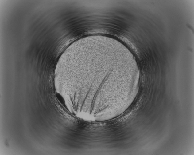 X0000097780937200804041211