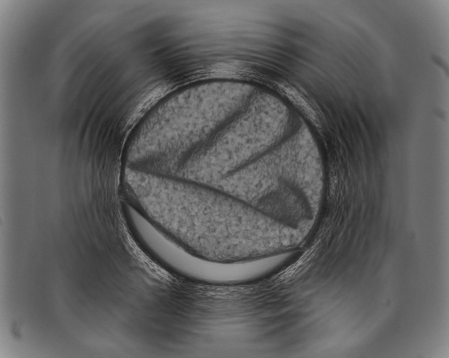 X0000097780938200804041211