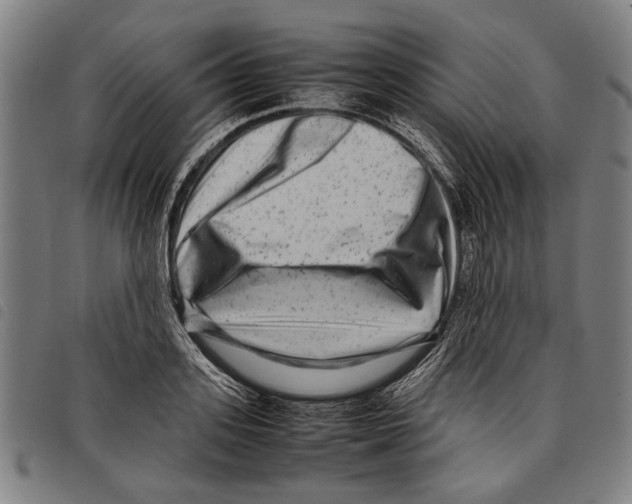 X0000097780939200804041211