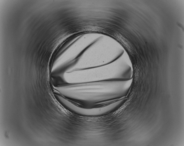 X0000097780940200804041211