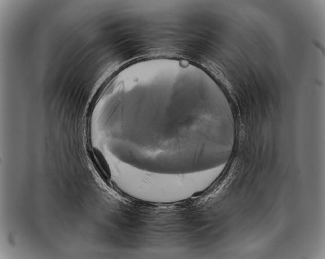 X0000097780941200804041211