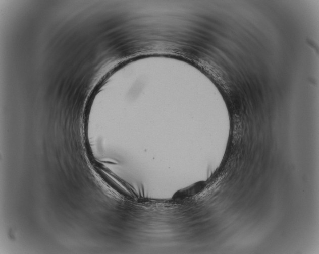 X0000097780942200804041211