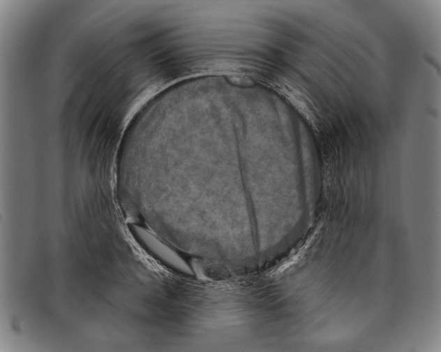 X0000097780944200804041211