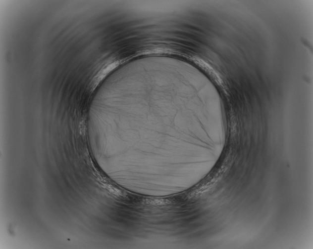 X0000097780945200804041211