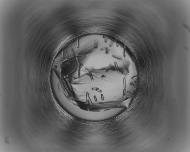 X0000097780946200804041211
