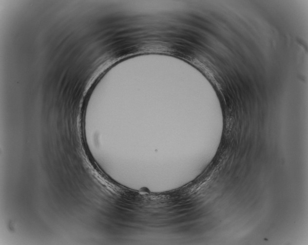 X0000097780947200804041211