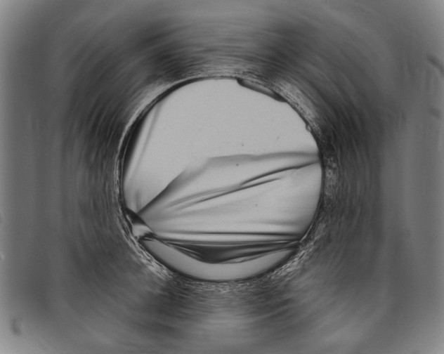 X0000097780948200804041211