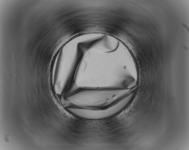 X0000097780949200804041211