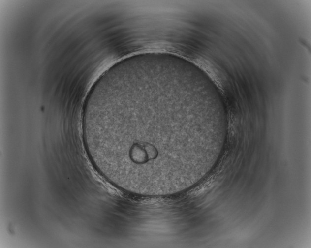 X0000097780950200804041211