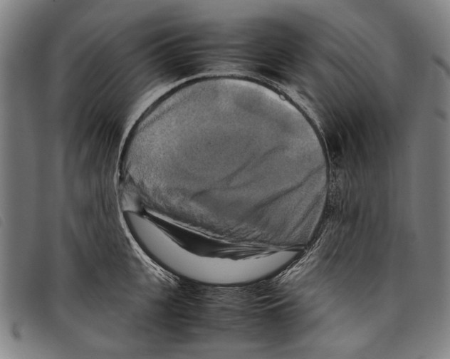 X0000097780951200804041211