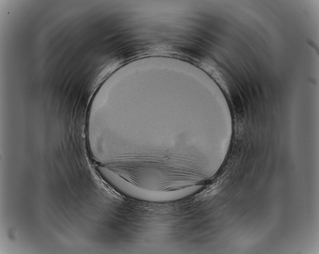 X0000097780954200804041211