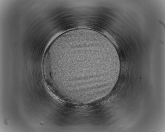 X0000097780955200804041211