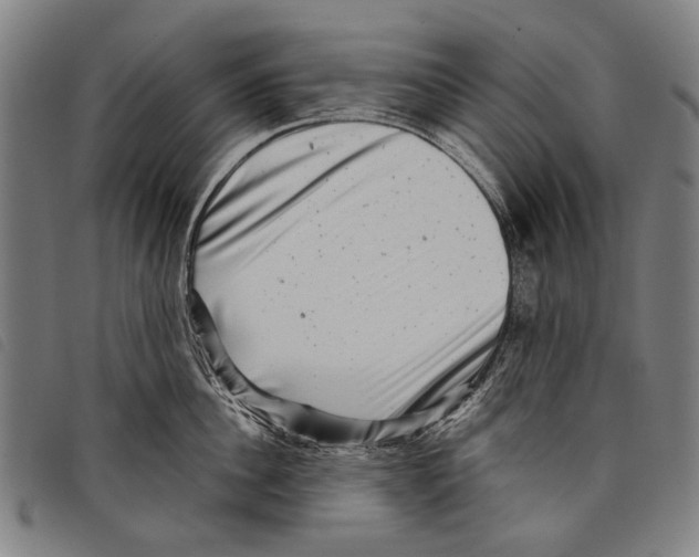 X0000097780956200804041211