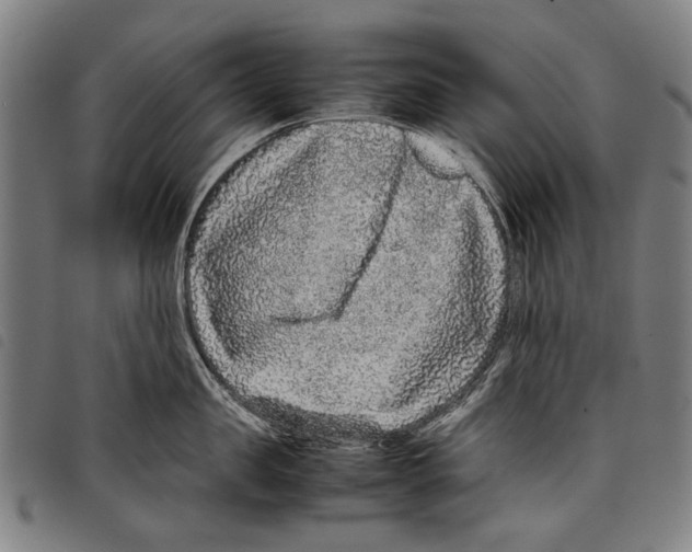 X0000097780957200804041211