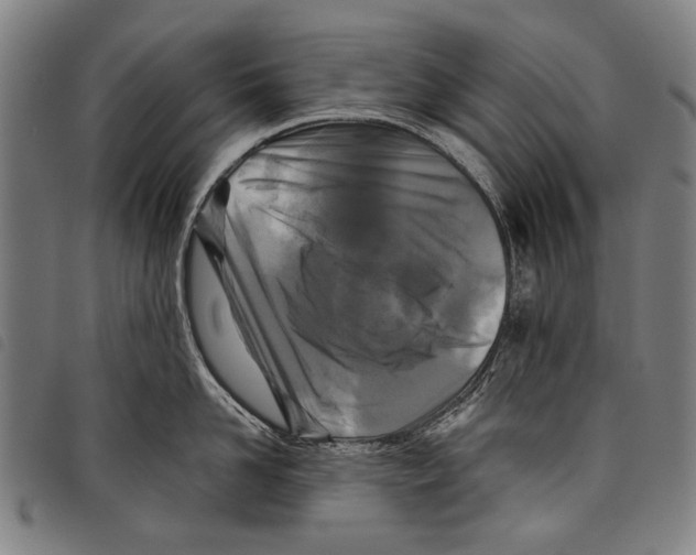 X0000097780958200804041211