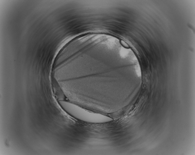 X0000097780959200804041211