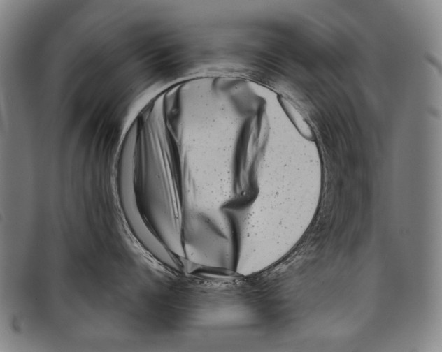 X0000097780960200804041211