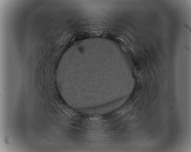 X0000097780961200804041210