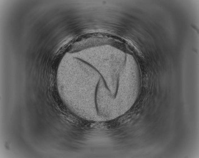 X0000097780967200804041210