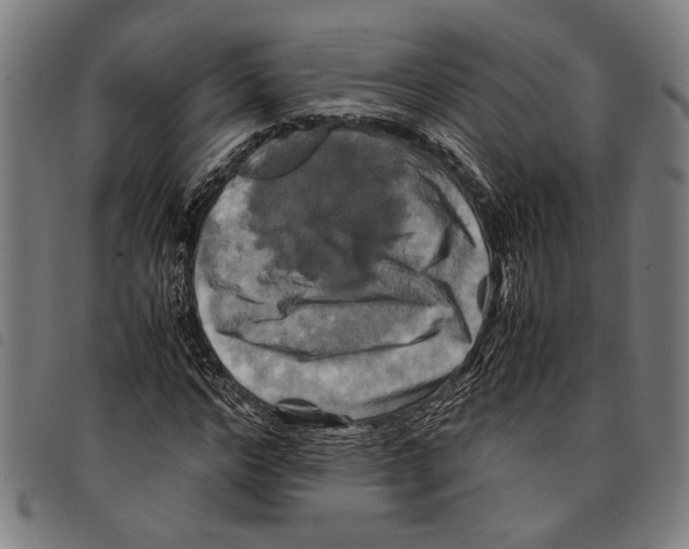 X0000097780968200804041210