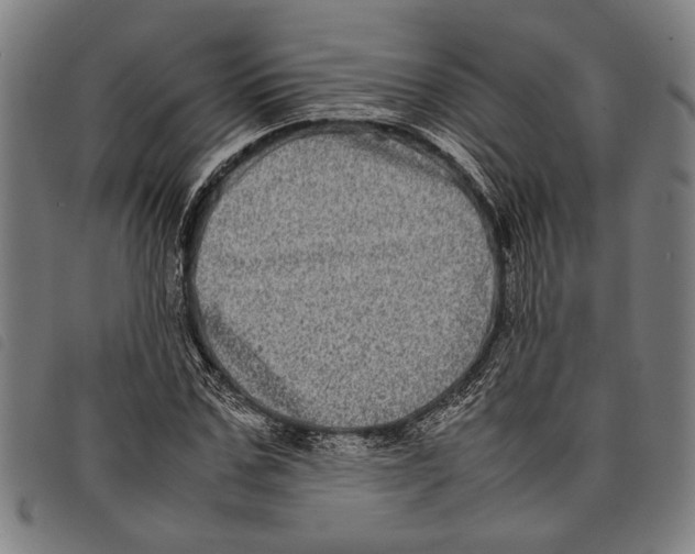 X0000097780971200804041210