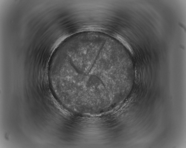 X0000097780972200804041210