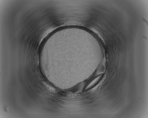 X0000097780973200804041210