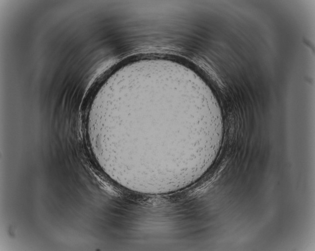 X0000097780974200804041210