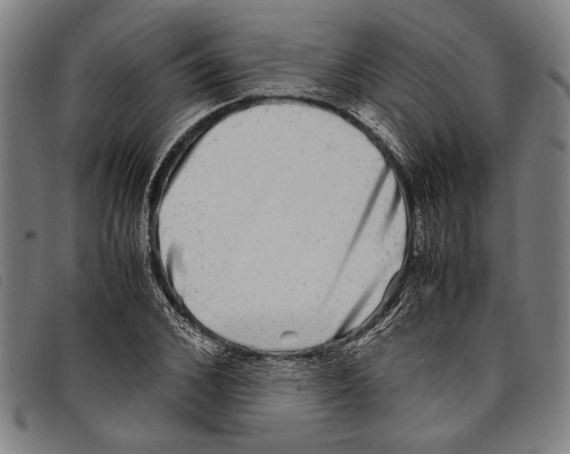 X0000097780976200804041210